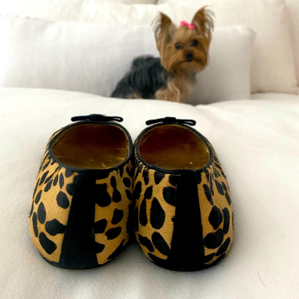 Beverly Feldman adorable flats